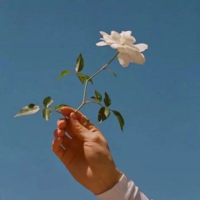 王牌战争离线版下载